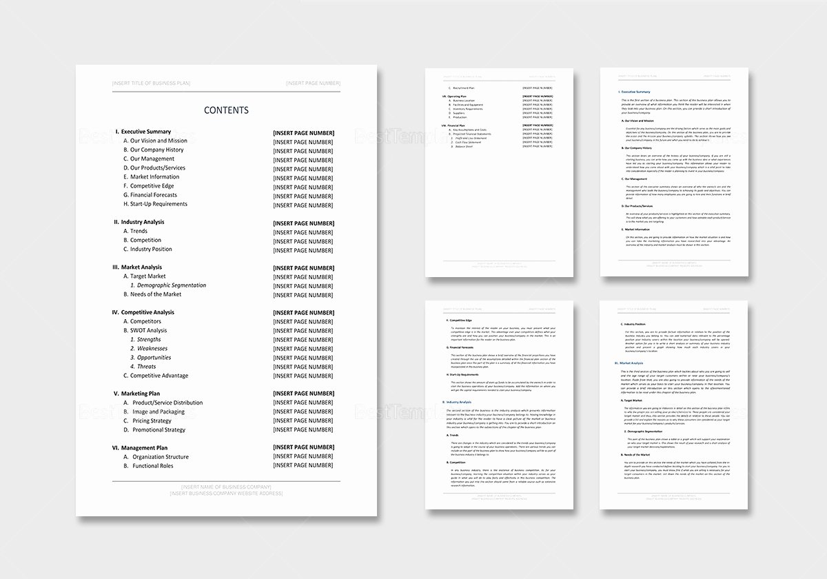 Business Plan Template Pages Mac Unique Business Plan Outline Template In Word Google Docs Apple