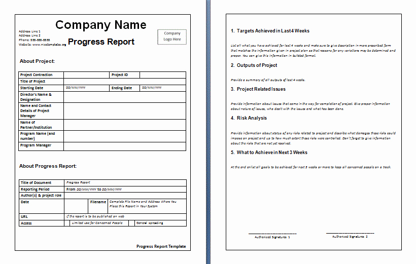 Business Progress Report Template Lovely 10 Weekly Report Templates