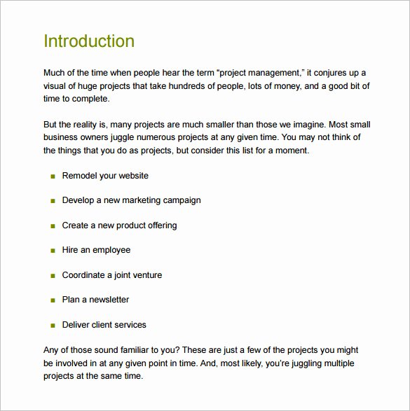 Business Project Plan Template Lovely Business Plan Project