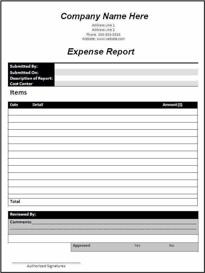 Business Report Template Word Luxury Report Templates
