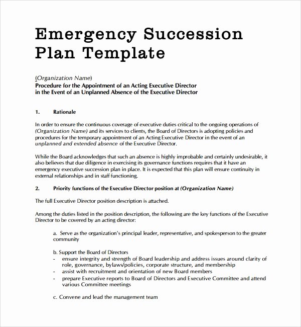 Business Succession Plan Template Beautiful 10 Succession Planning Templates