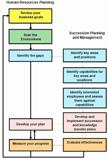 Business Succession Planning Template New Succession Planning and Management Guide