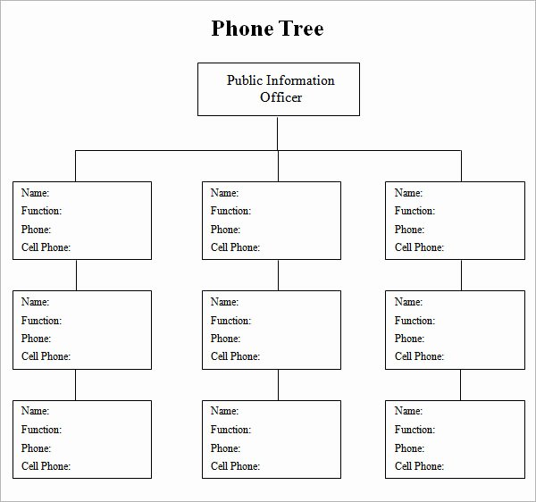 Call Tree Template Word Awesome 4 Sample Phone Tree Templates to Download