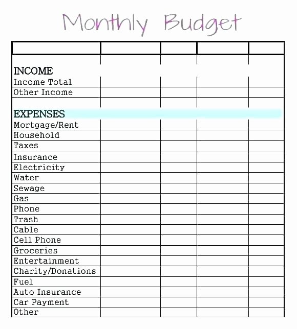 Capital Expenditure Budget Template Excel Luxury Capital Expenditure Spreadsheet Template