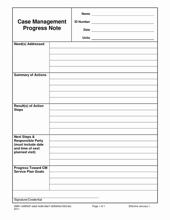 Case Management Notes Template Awesome Case Notes Template