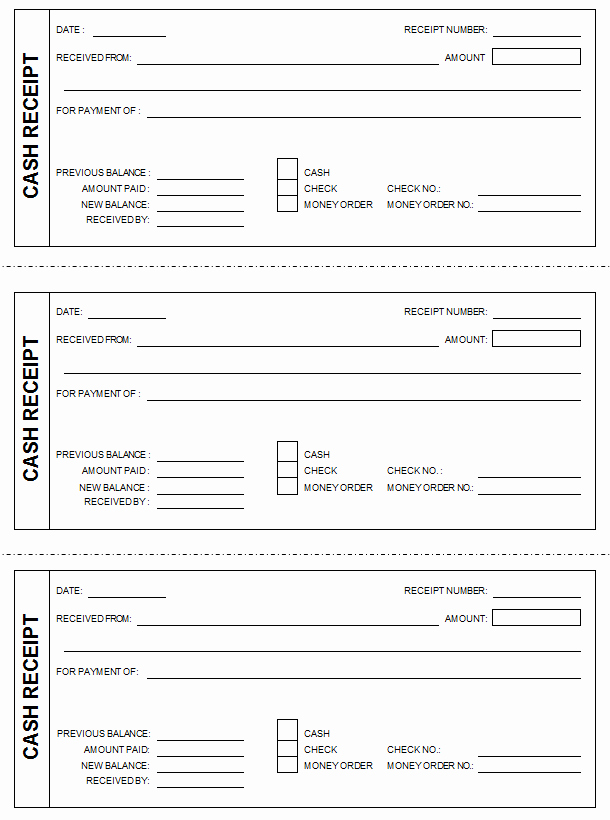 Cash Receipts Template Excel Beautiful Cash Receipt Template formats Examples In Word Excel