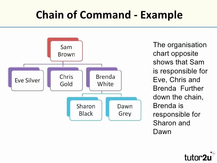 Chain Of Command Template Best Of Modified Project organisation Chain Mand In Business