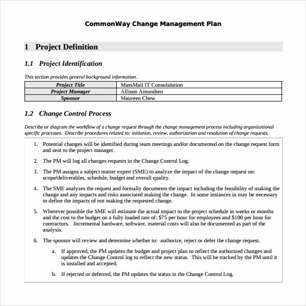 Change Management Plan Template Fresh Sample Change Management Plan Template 9 Free Documents