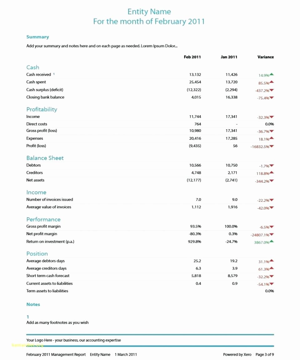 Church Financial Statements Template Awesome Financial Report Example Church Monthly Risk