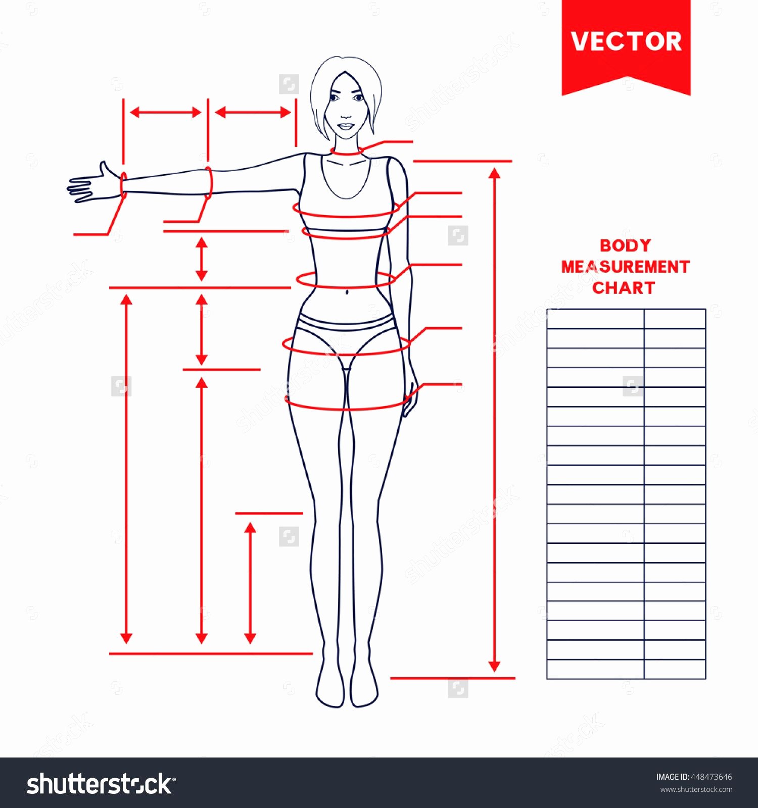 Clothing Size Chart Template Beautiful Woman Body Measurement Chart Scheme for Measurement Human