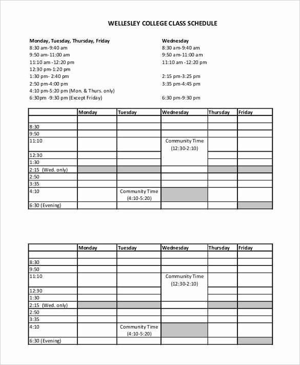 College School Schedule Template Luxury School Timetable Maker Excel