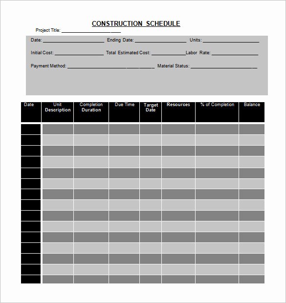 Construction Project Schedule Template Fresh 12 Activity Schedule Templates Word Excel Pdf