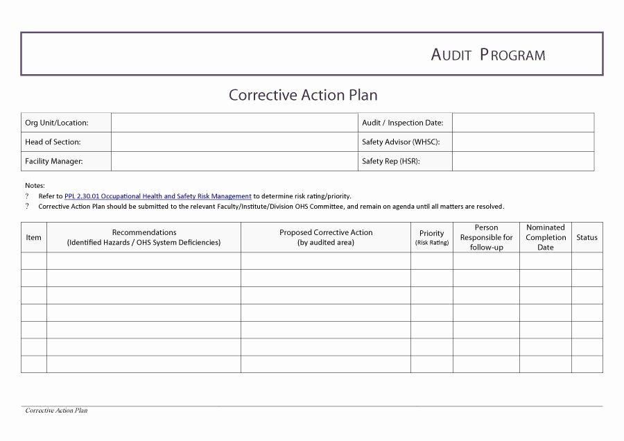 Corrective Action Plan Template Word Unique Corrective Action Plan Template
