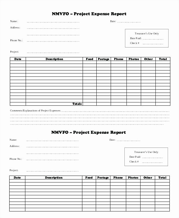 Credit Card Expense Report Template Best Of Sample Business Expense Report Pany Expense Report
