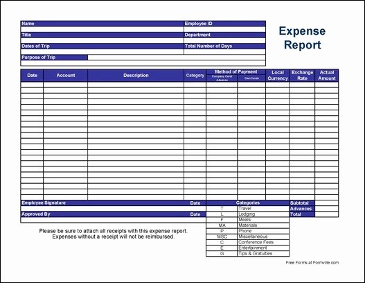 Credit Card Expense Report Template Fresh Free Basic International Travel Expense Report From formville