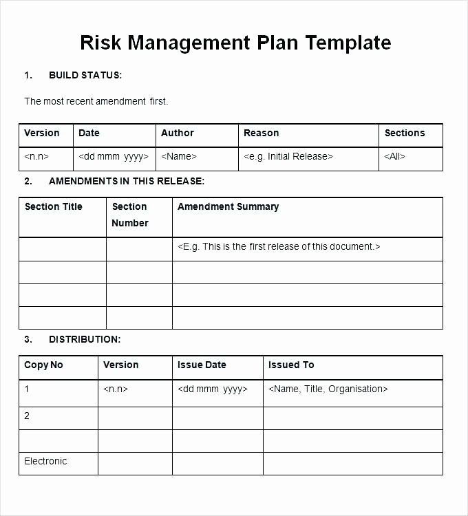 Crisis Management Plan Template Lovely Crisis Management Plan Template Download Individual