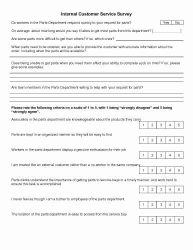 Customer Service Survey Template Best Of 30 Sample Survey Templates In Microsoft Word