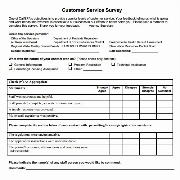 Customer Service Survey Template Unique 7 Client Satisfaction Survey Samples