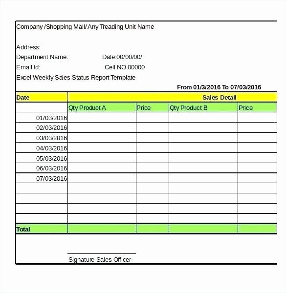 Daily Activity Report Template Excel Elegant Status Report Template Excel Daily Work format In