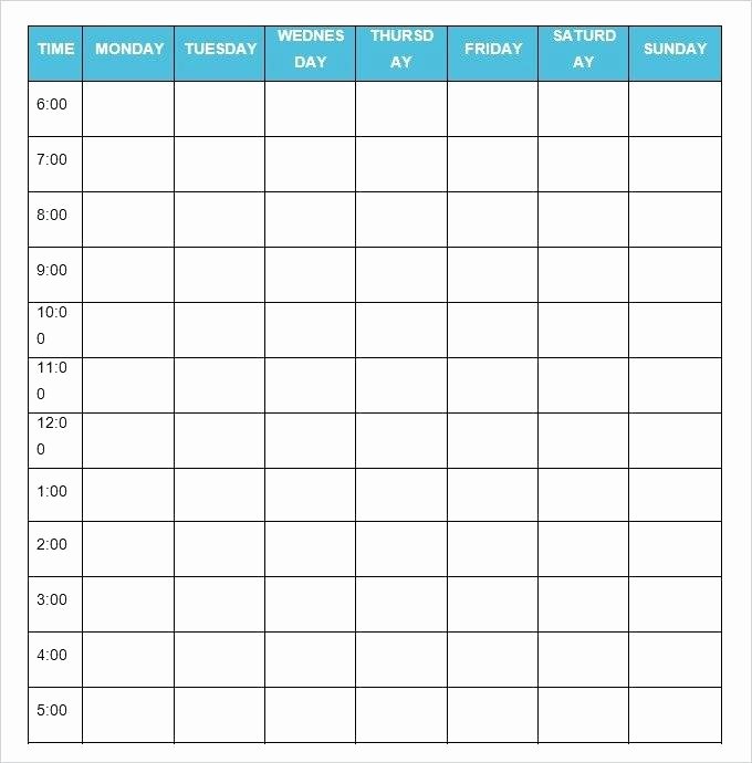 Daily Activity Schedule Template Elegant Daily Activity Schedule Template