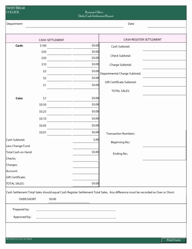 Daily Cash Report Template Awesome Professional Daily Report Template Samples for Business
