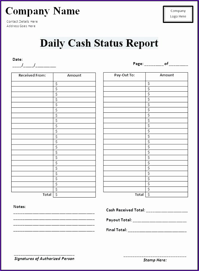 Daily Cash Report Template Best Of Daily Cash Report Daily Cash Flow Template Hewrho Elegant