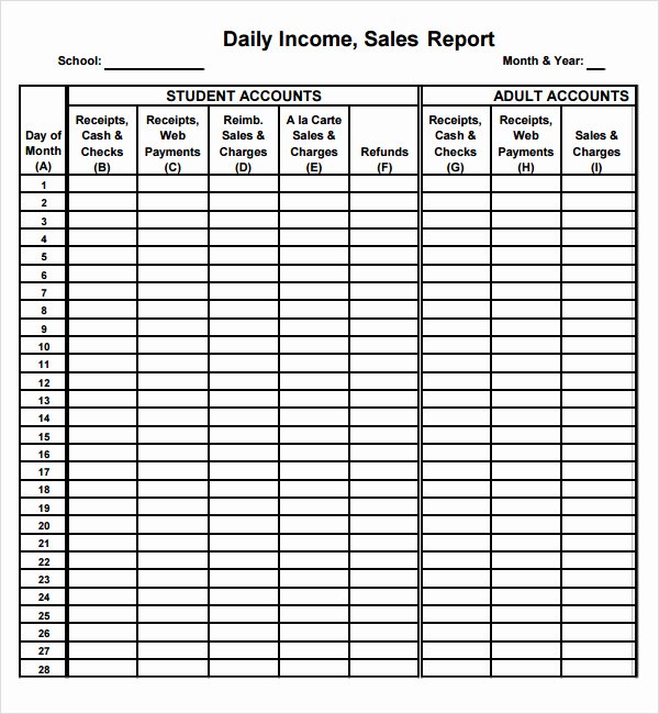 Daily Cash Report Template Excel Inspirational 3 Free Daily Sales Report Templates Word Excel Pdf