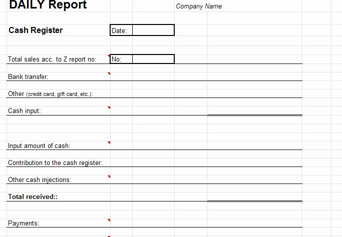 Daily Cash Report Template Fresh Daily Cash Transaction Report
