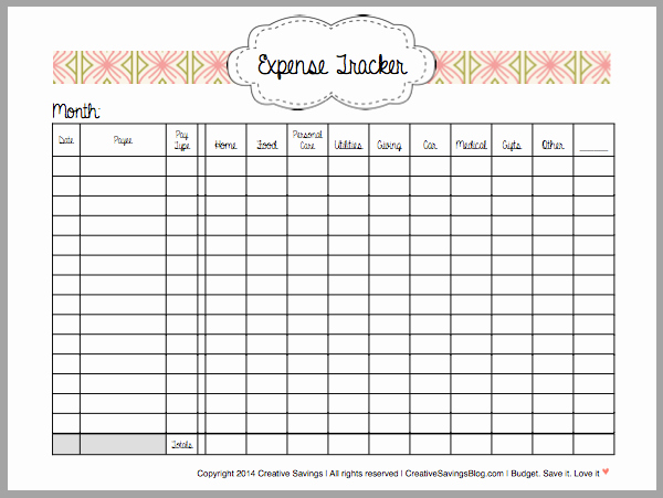 Daily Expense Tracker Template Inspirational How to Track Your Expenses organization