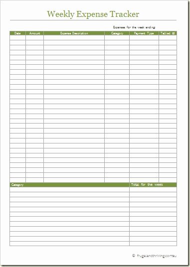 Daily Expense Tracker Template Lovely Free Printable Expense Tracker Take Control Of Your Spending