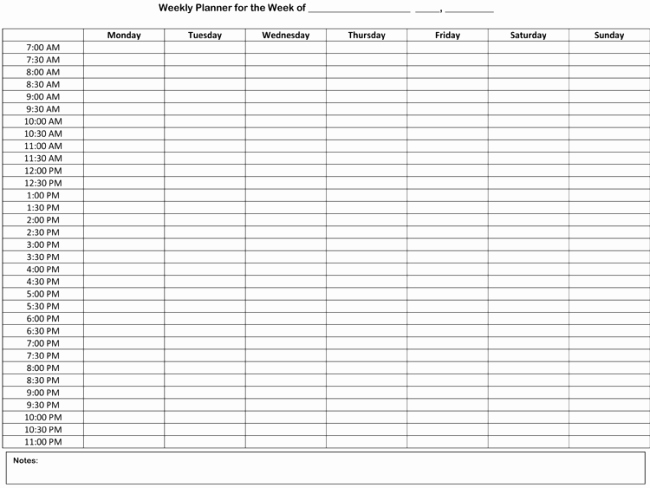 Daily Hourly Schedule Template Elegant Weekly Hourly Schedule Template