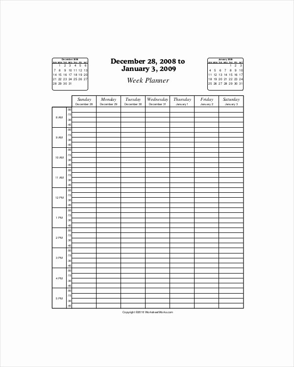 Daily Hourly Schedule Template Lovely 4 Hourly Planner Templates Pdf