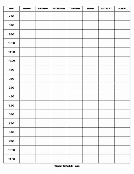 Daily Hourly Schedule Template Luxury Hourly Schedule Template