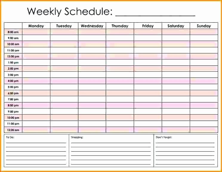 Daily Hourly Schedule Template New Daily Schedule Excel Worksheet Spreadsheet with Free