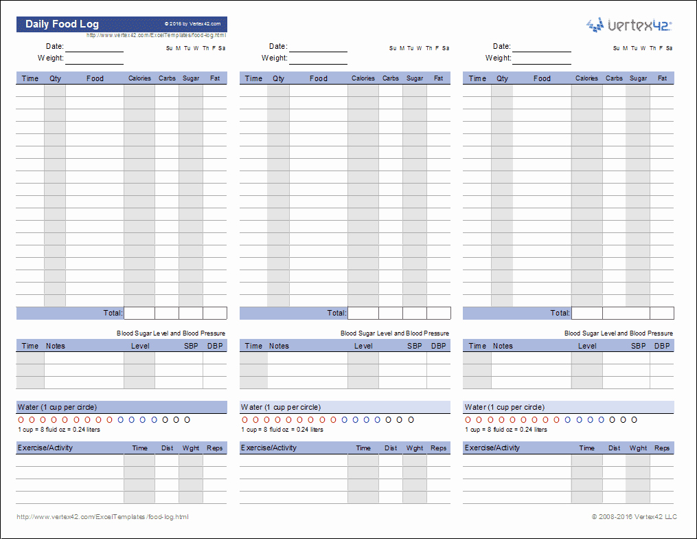 Daily Log Template Excel New Food Log Template