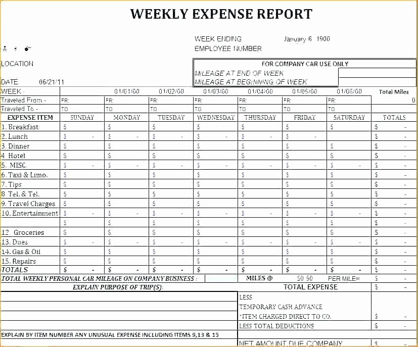 Daily Production Report Template Excel Lovely Weekly Productivity Report Template Daily Production