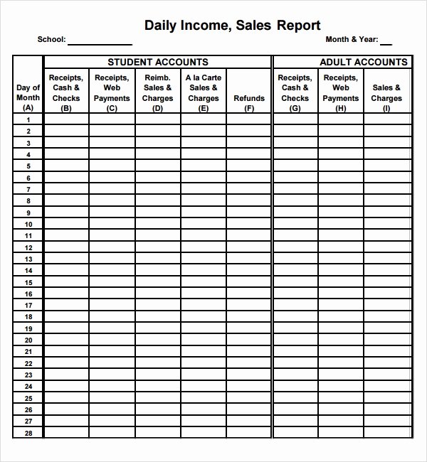 Daily Report Template Excel Elegant Daily Sales Report Template