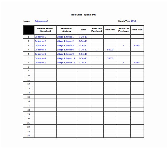 Daily Sales Report Template Inspirational 25 Sales Report Templates Doc Pdf Excel Word