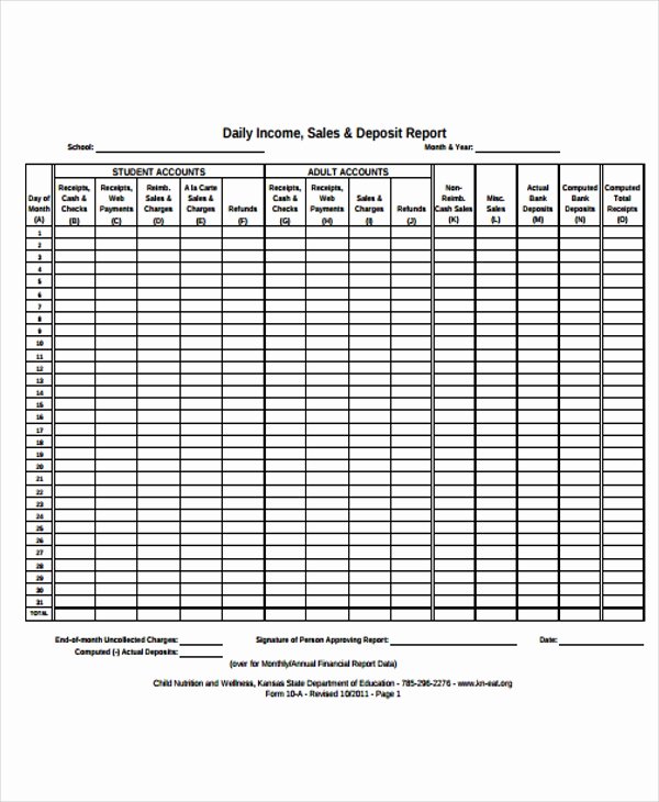 Daily Sales Report Template Lovely 15 Sales Report form Templates
