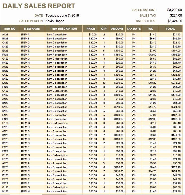 Daily Sales Report Template Luxury Daily Sales Tracking Report Template Templates Resume