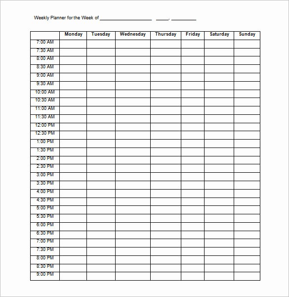 Daily Schedule Template Pdf Awesome 14 Family Schedule Templates Word Pdf