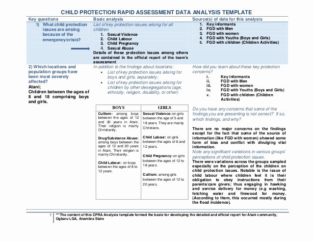 Data Analysis Report Template New Child Protection Rapid assessment Data Analysis Template