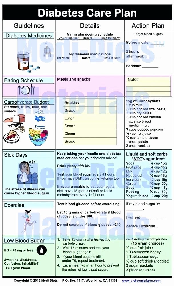 Diabetes Management Plan Template Lovely Home Health Care Plan Template Diabetes Picture Storage