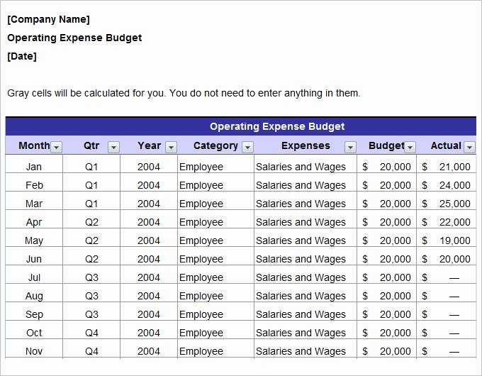 Digital Marketing Budget Template Beautiful Marketing Bud Template 23 Free Word Excel Pdf