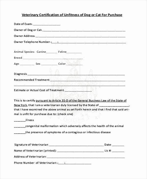 Dog Training Certificate Template Awesome Dog Certificate Template 9 Free Pdf Documents Download