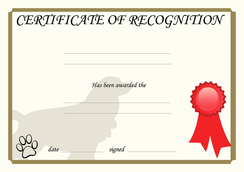 Dog Training Certificate Template Beautiful 15 Ribbons Certificate Templates