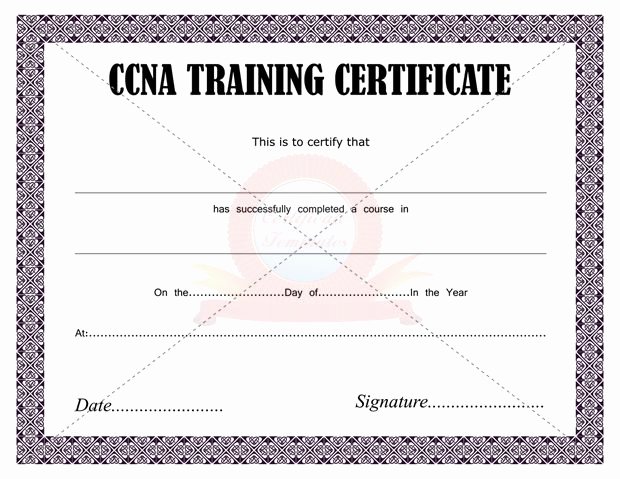 Dog Training Certificate Template Best Of Ccna Training Certificate