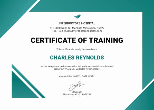Dog Training Certificate Template Fresh 27 Training Certificate Templates Doc Psd Ai