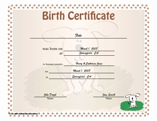 Dog Training Certificate Template Inspirational A Dog Birth Certificate for A Puppy or Little Of Puppies