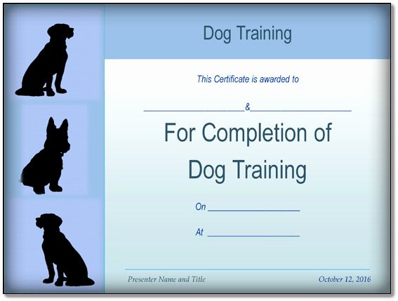 Dog Training Contract Template Lovely Basic Dog Training Certificate Template Ppt Pdf formats